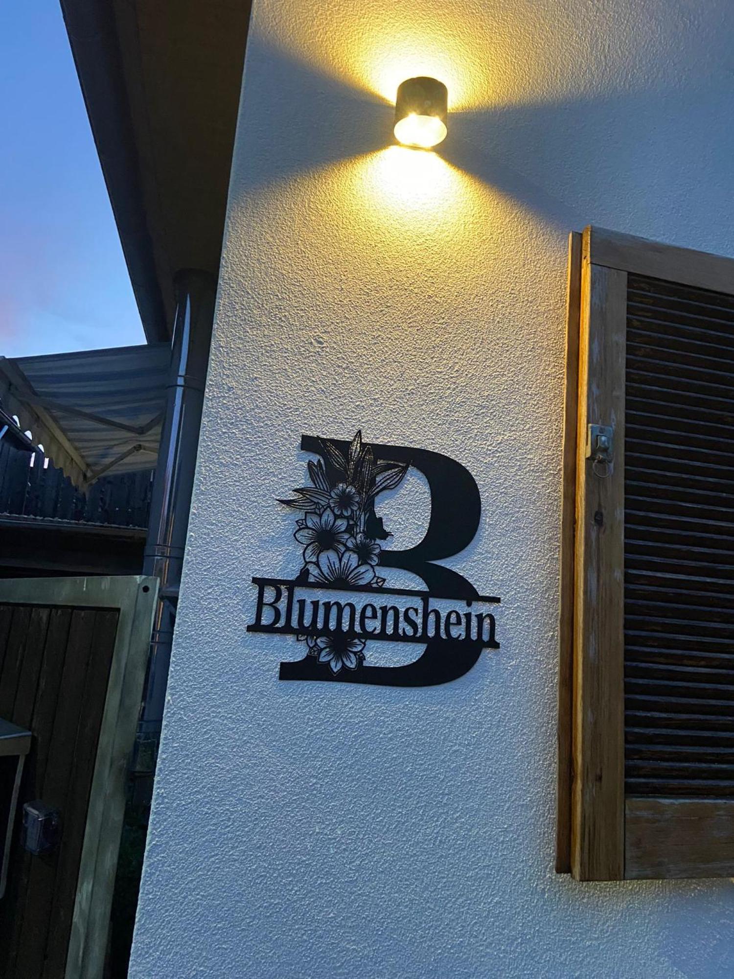 Ferienwohnung Blumenshein Bei Speyer Karlsruhe Familienfreundlich 5 Pers Zeiskam Extérieur photo