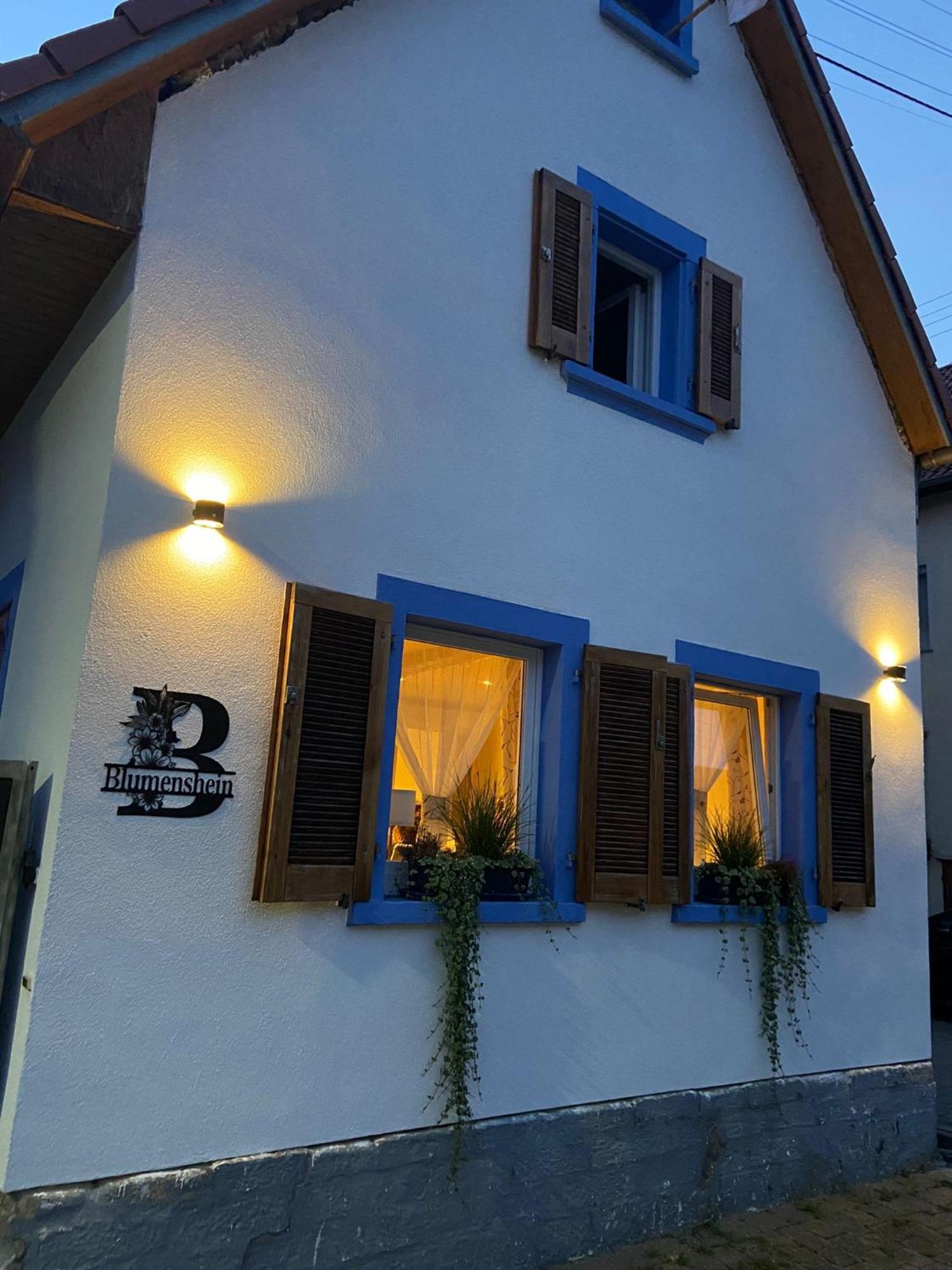 Ferienwohnung Blumenshein Bei Speyer Karlsruhe Familienfreundlich 5 Pers Zeiskam Extérieur photo